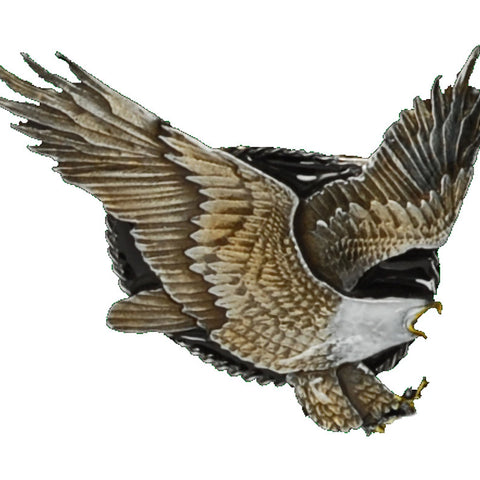 Flying Eagle Bolo Tie